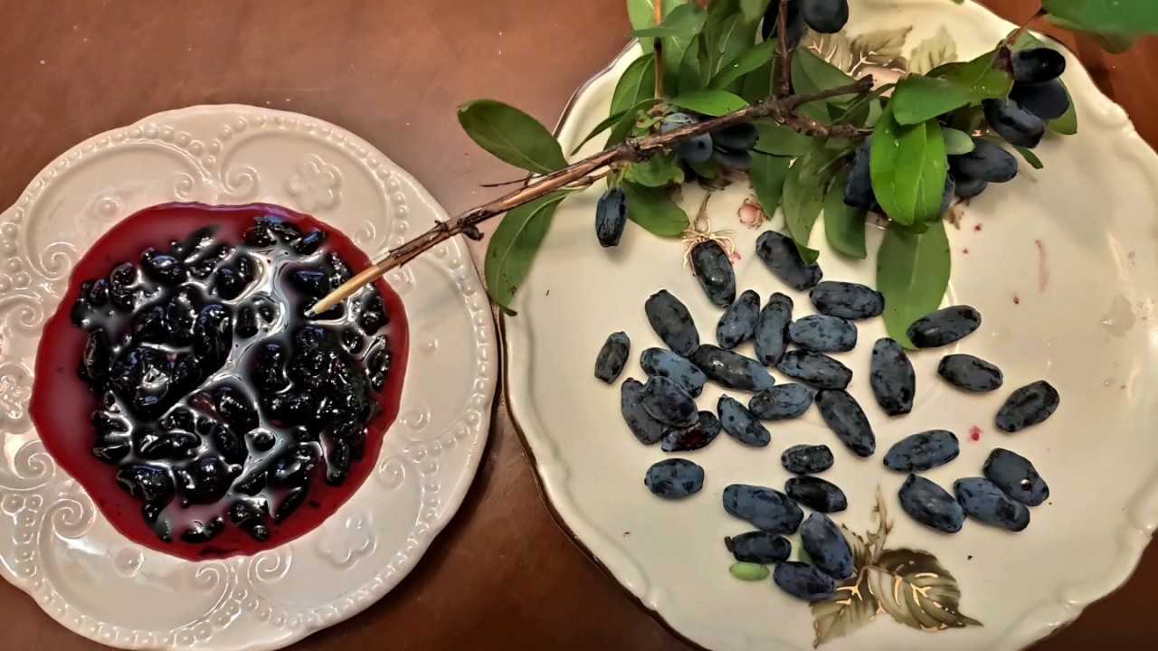Варенье из жимолости - 9 рецептов на зиму с фото пошагово