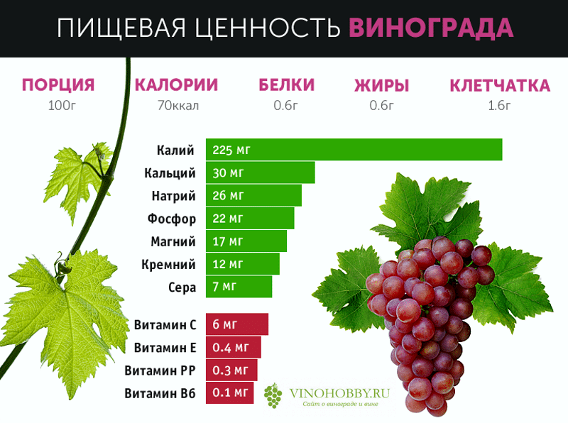 Виноград: польза и вред для организма, кому и как можно его есть