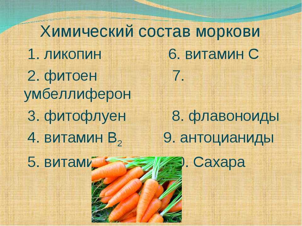 Что полезнее — вершки или корешки морковки? сравнительная таблица содержания полезных веществ. фото — ботаничка
