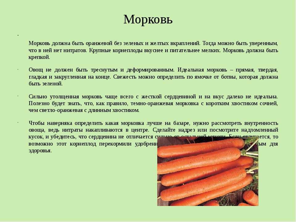 Почему морковь корявая и как этого избежать - дачные советы.ру
