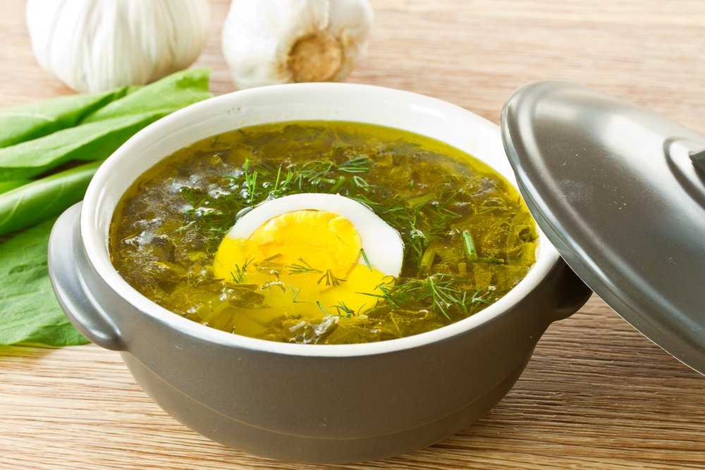Щавелевый суп. пошаговые рецепты из свежего и консервированного щавеля с фото