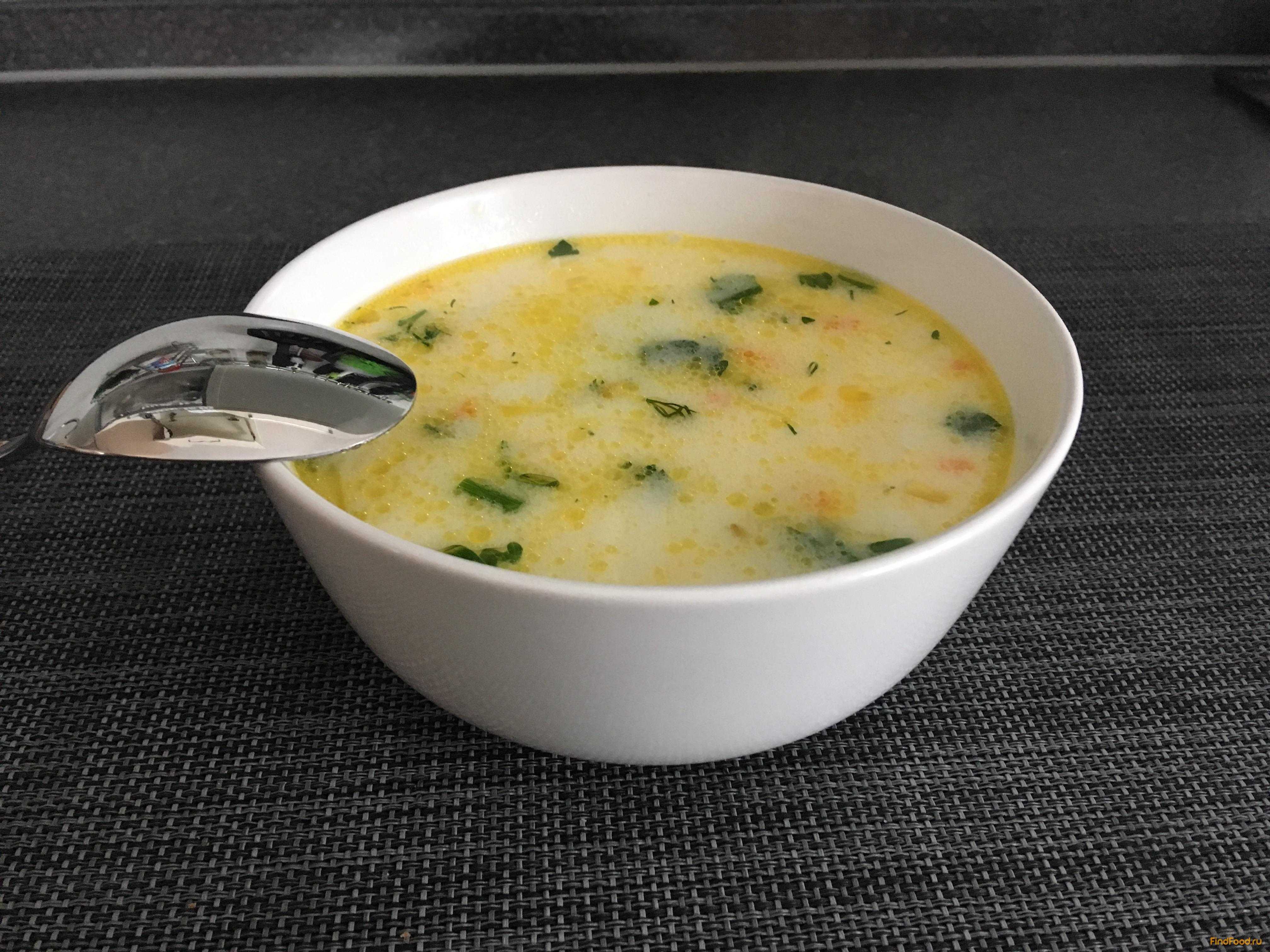Сырный суп: пошаговые рецепты с плавленным сыром