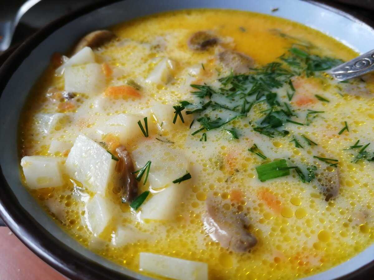Сырный суп рецепт с плавленным сыром с грибами фото