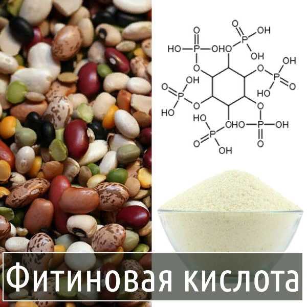 Фитиновая кислота: зачем замачивать орехи, крупы, бобовые