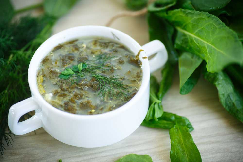 Щавелевый суп: классические рецепты супа из щавеля с яйцом