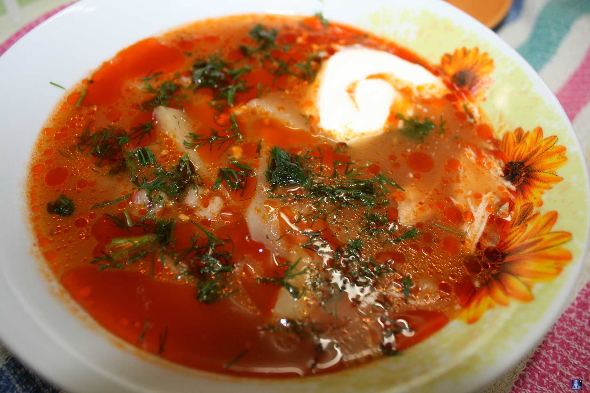 Суп из говядины: 13 вариантов приготовления на любой вкус