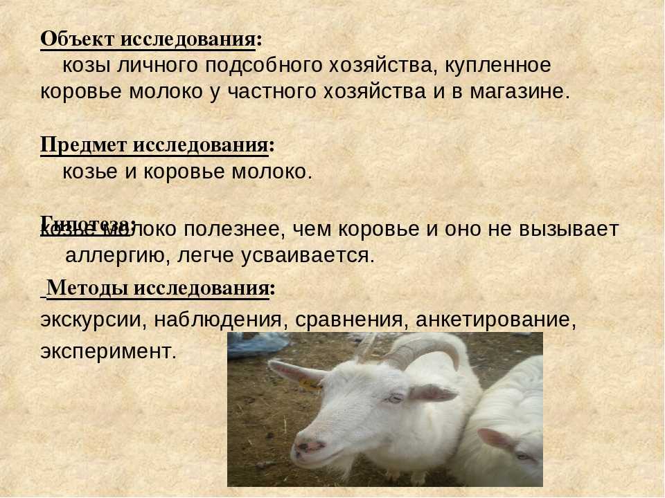 Чем полезно молоко коровье или козье? чем полезно молоко для женщин, детей и для каждого :: syl.ru