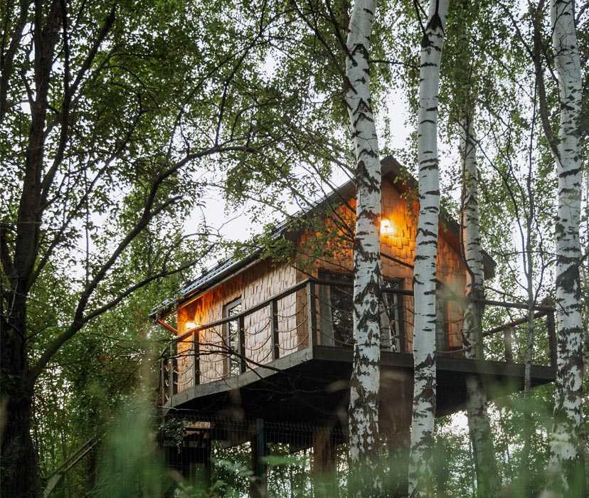 Базы отдыха: домики, шале, коттеджи в ленинградской области