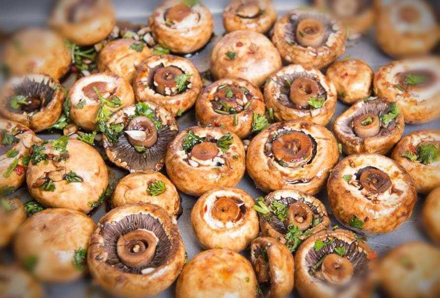 Лаваш — рецепты приготовления рулетов с грибами и другими дополнительными начинками