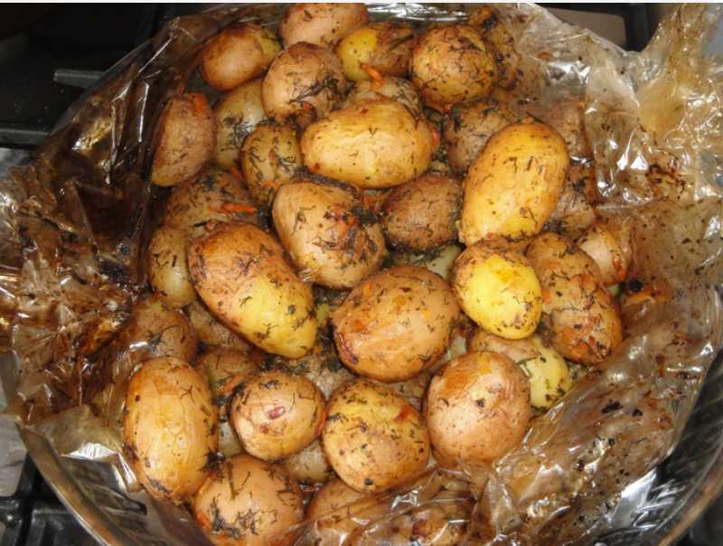 Картофельный салат — проверенные кулинарные рецепты. как правильно приготовить картофельный салат.