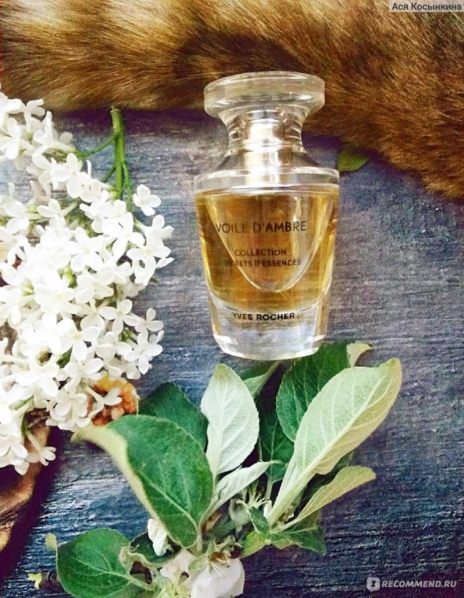 Амбра в парфюмерии: что это такое, как пахнет, происхождение и добыча | парфюмерное ателье аромаобраз - создать свой аромат