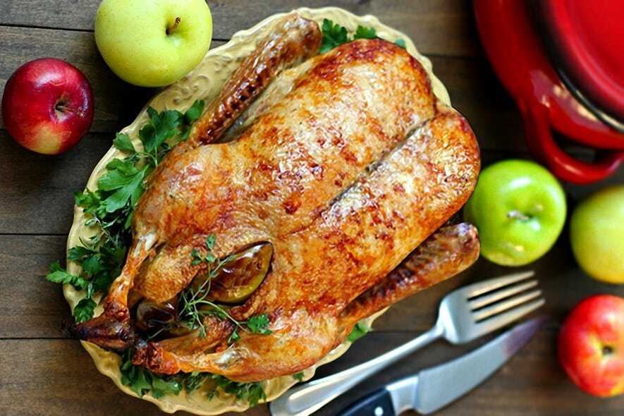 Индоутка: рецепты приготовления вкусных блюд из птицы