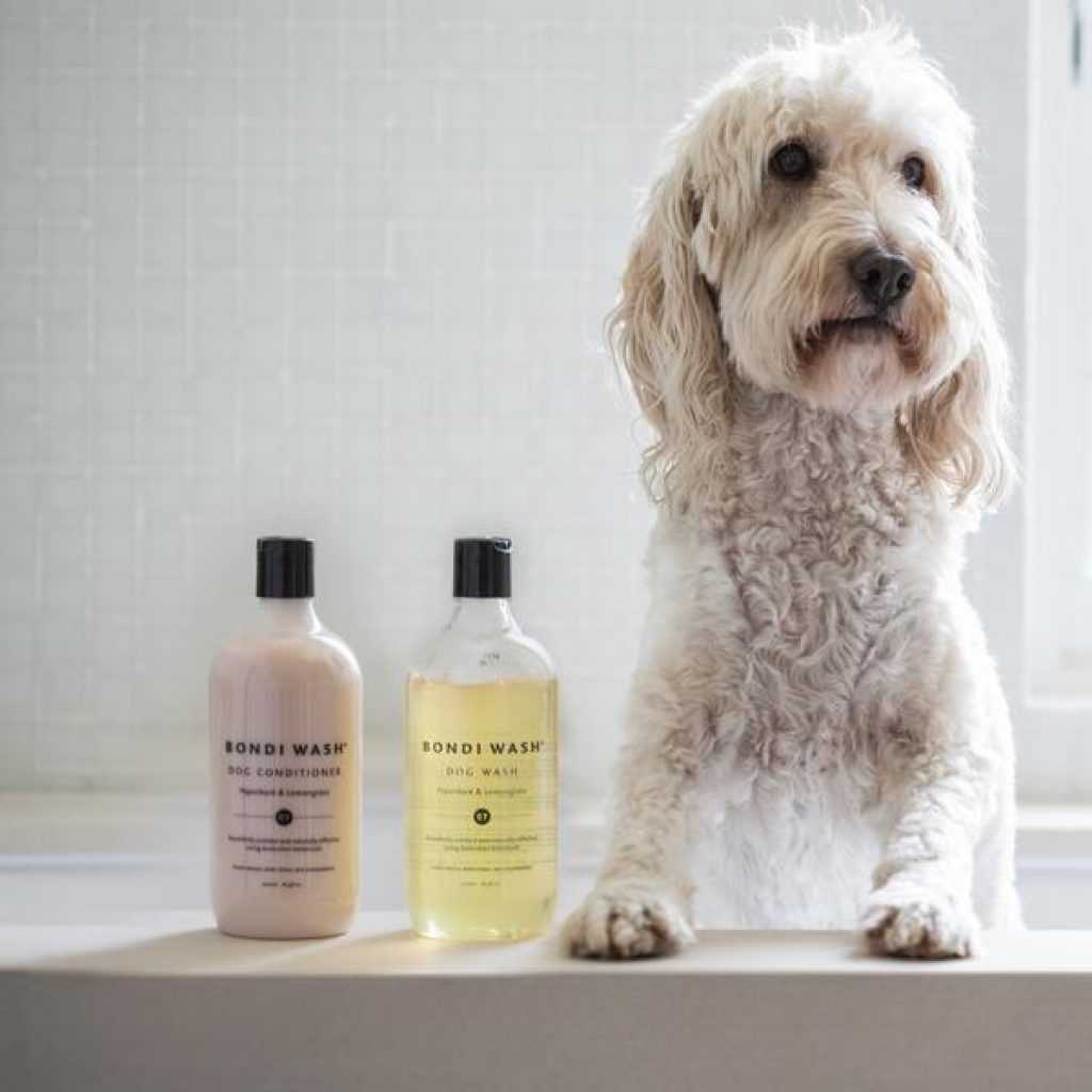 Можно ли мыть собаку человеческим шампунем, и каким лучше купать, детским или обычным