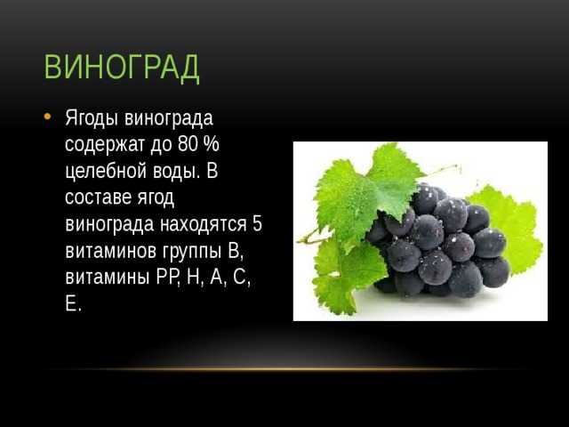 Черный виноград- в чем польза продукта для организма