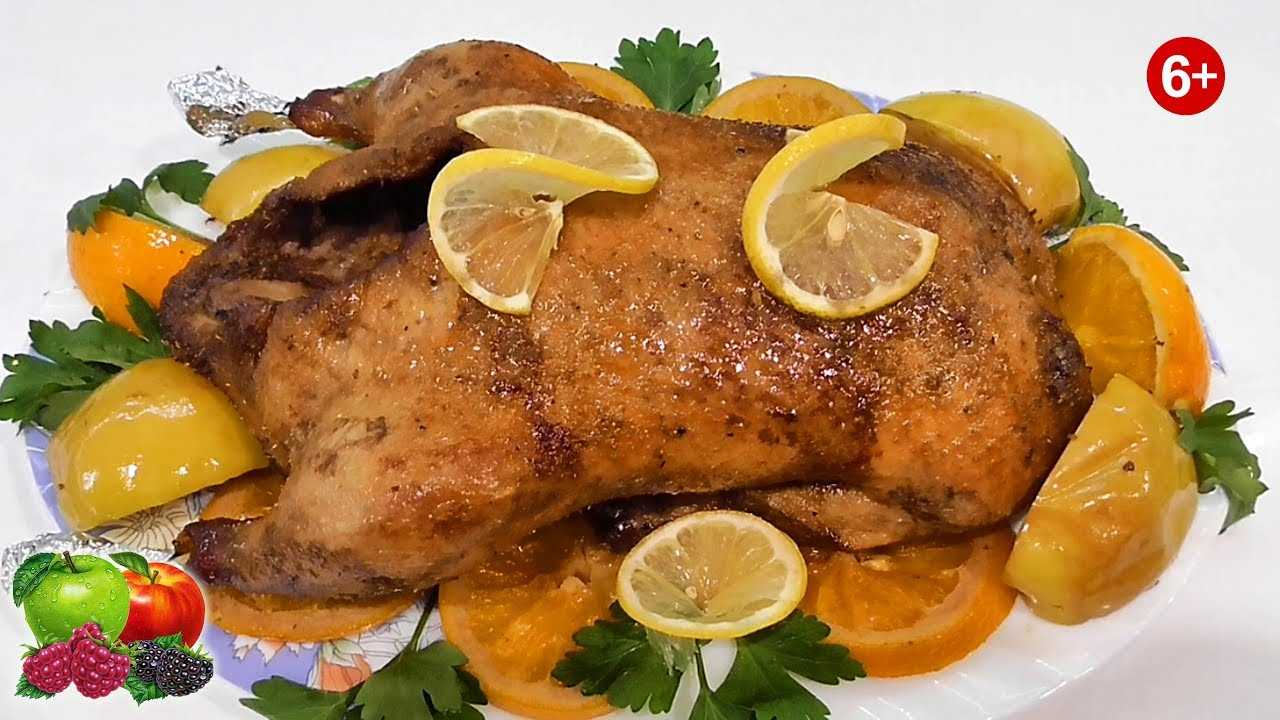 Дикая утка — рецепты приготовления в домашних условиях