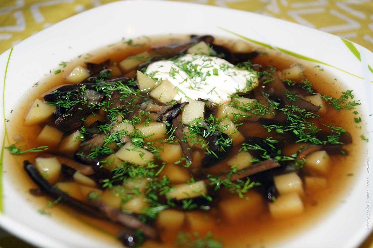 Грибной суп из белых грибов – легко и питательно: рецепт с фото и видео