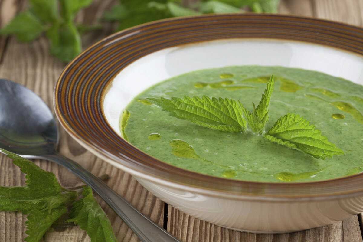 Как варить суп из крапивы — 7 самых вкусных рецептов