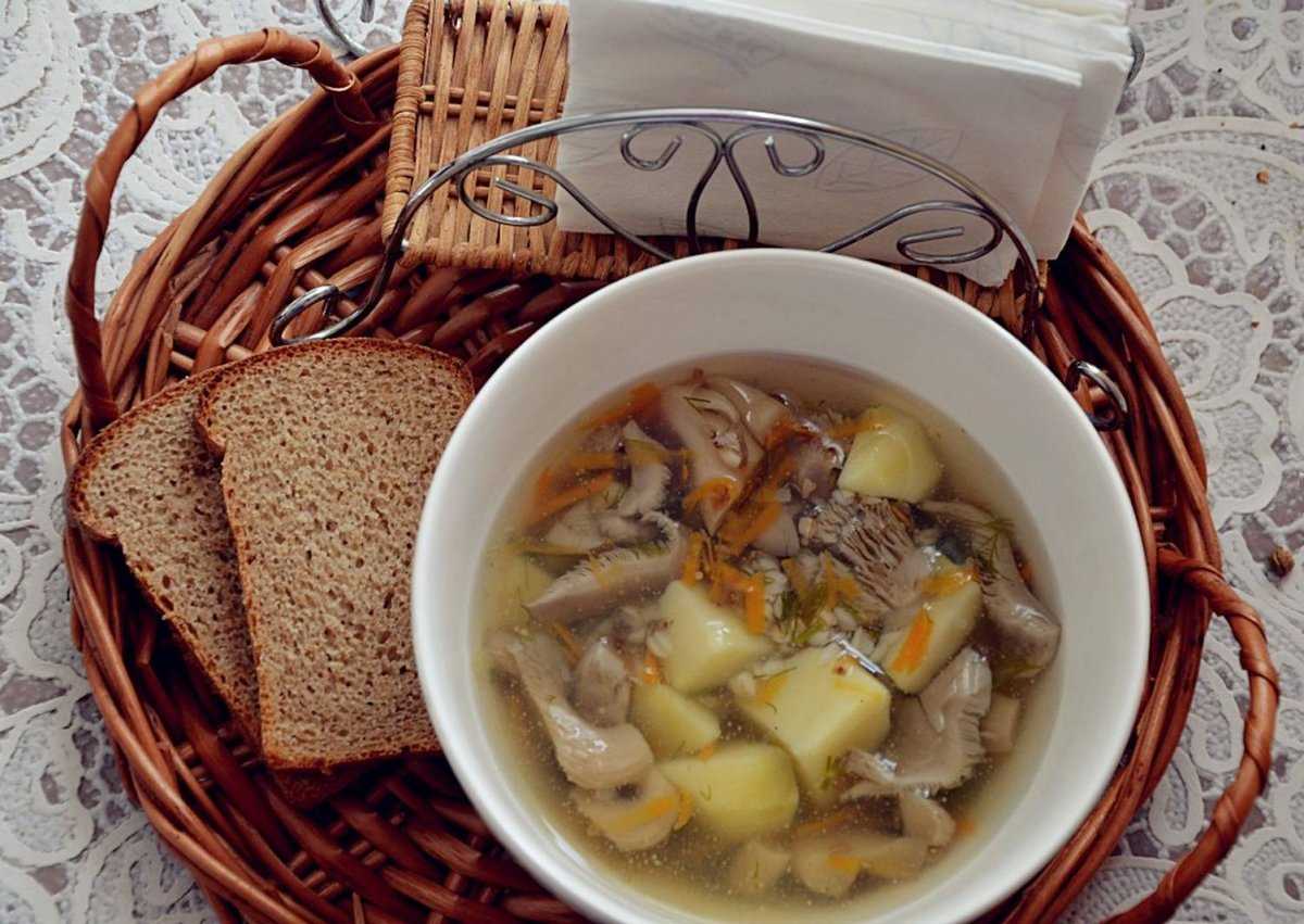 7 пошаговых рецептов супов из сушеных и свежих белых грибов: обзор +видео