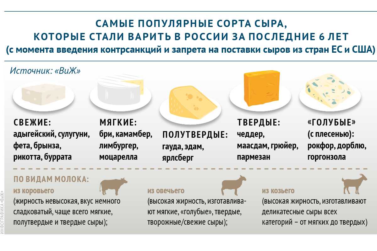 Твердые сыры почему. Виды сыров. Твердые сорта сыра. Популярные сорта сыра в России. Самые популярные виды сыров.