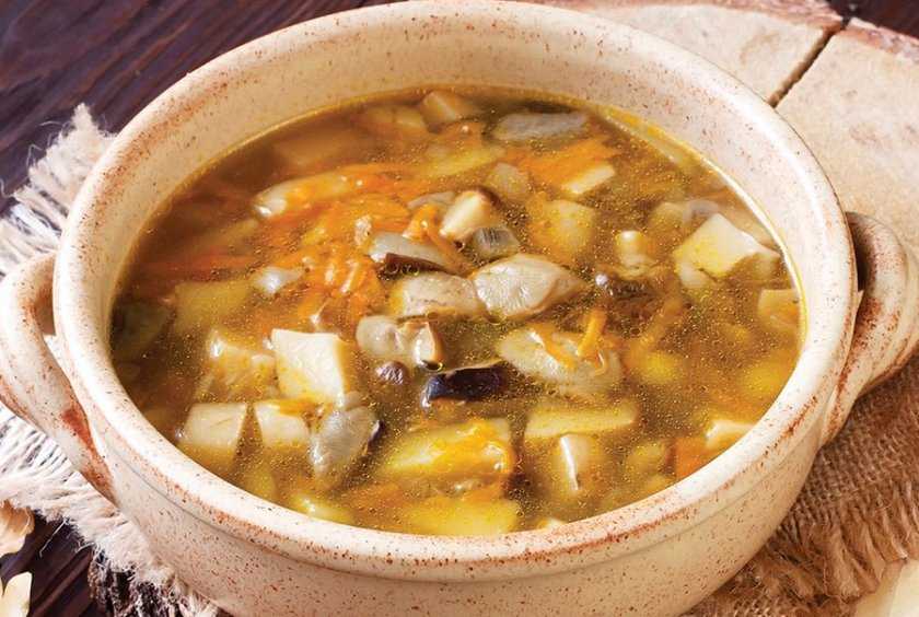 Суп с грибами - лучшие рецепты. как правильно и вкусно приготовить грибной суп. - автор екатерина данилова - журнал женское мнение