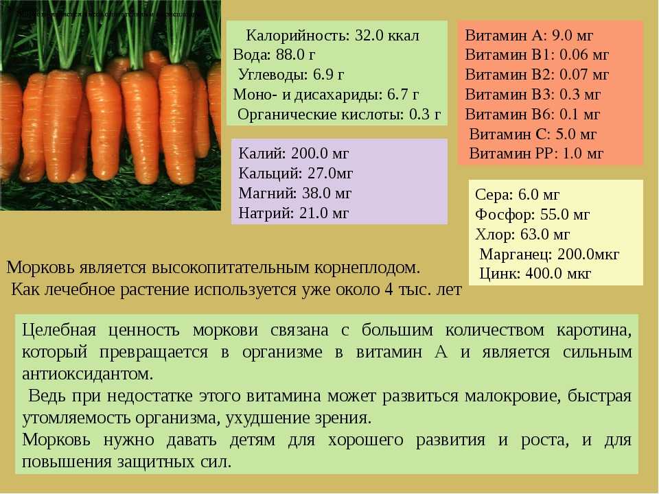 Вред и польза тушеной, свежей, печеной, вареной моркови – хорошие привычки