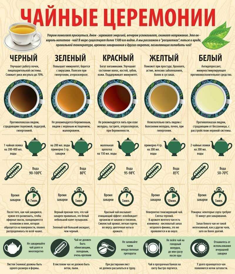 Как правильно заваривать зеленый чай, как пить, польза и вред