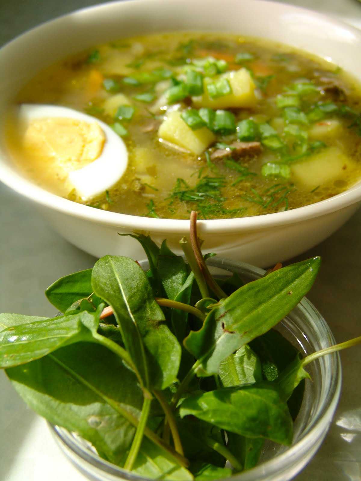 Щавелевый суп: как приготовить простой вкусный суп со щавелем