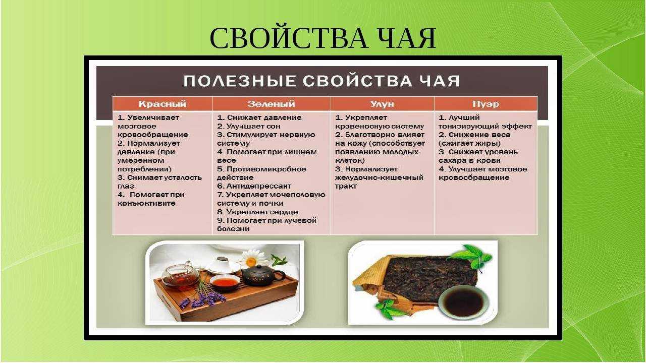 Качество чая в россии. Свойства чая. Полезные свойства чая. Чаи виды и характеристики. Характеристика чая.