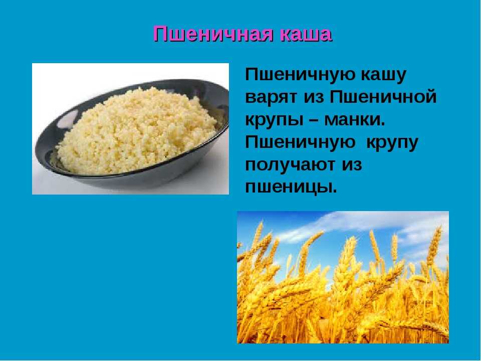 Пшеничная каша — рецепты как варить пшеничную кашу на воде или молоке
