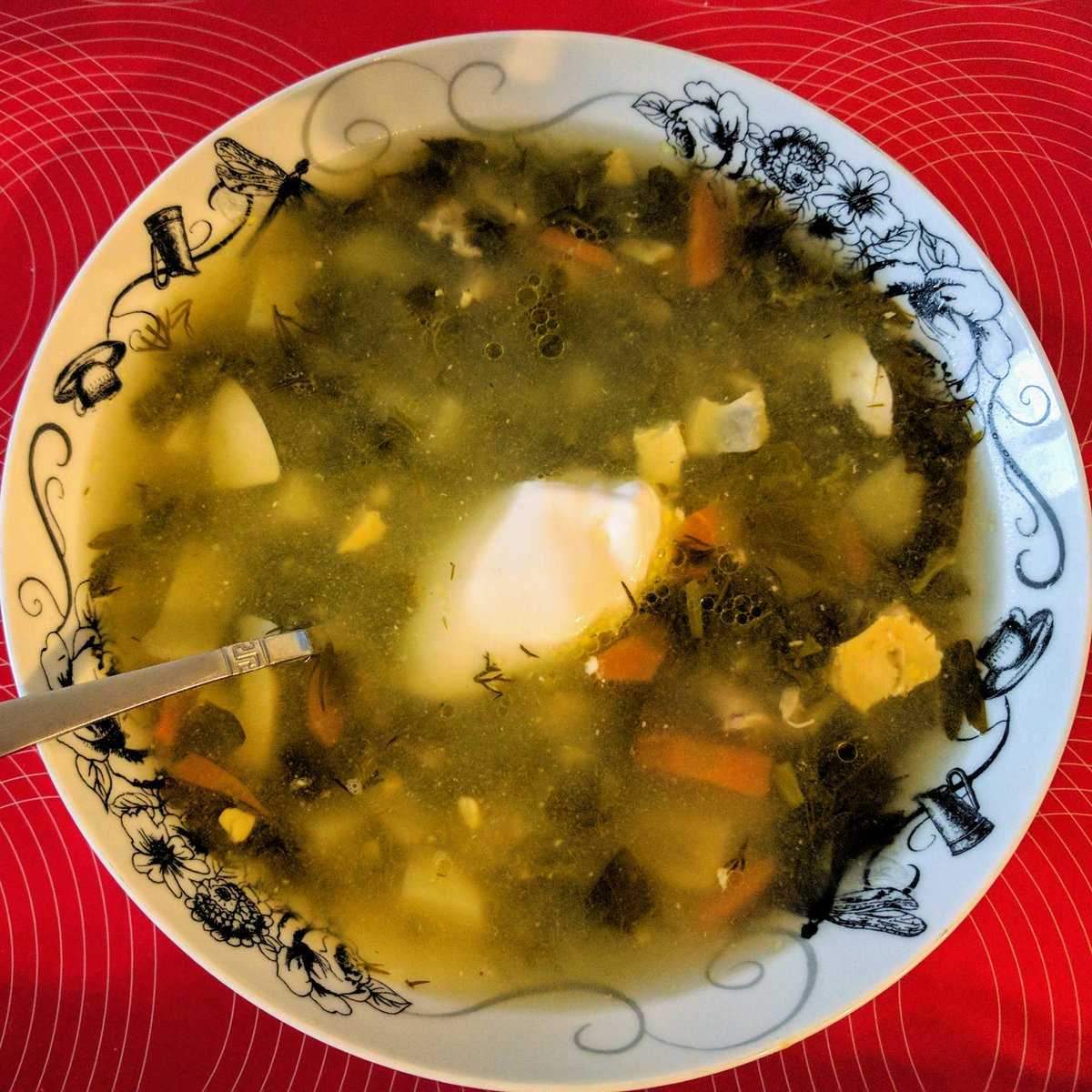 Щавелевый суп - классические рецепты супа из щавеля с яйцом