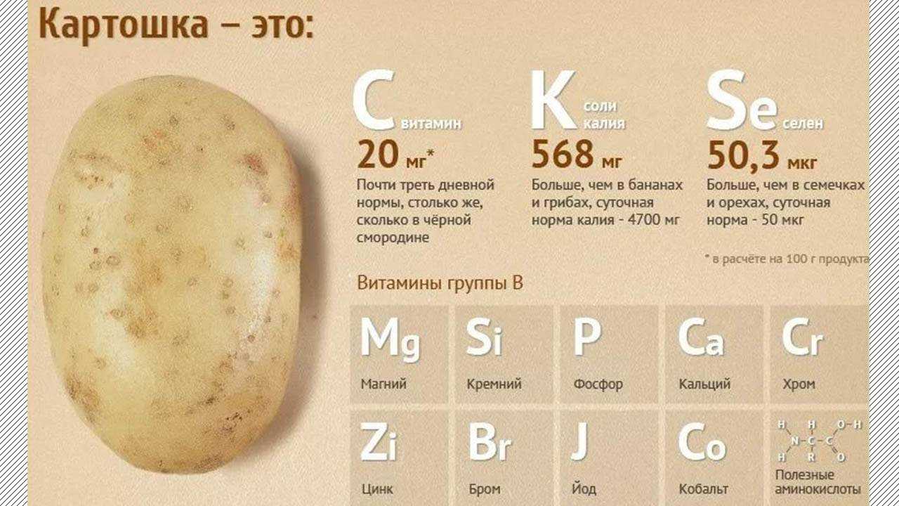 Сколько калорий в стандартной картошке фри. сколько калорий в картошке фри, состав, бжу