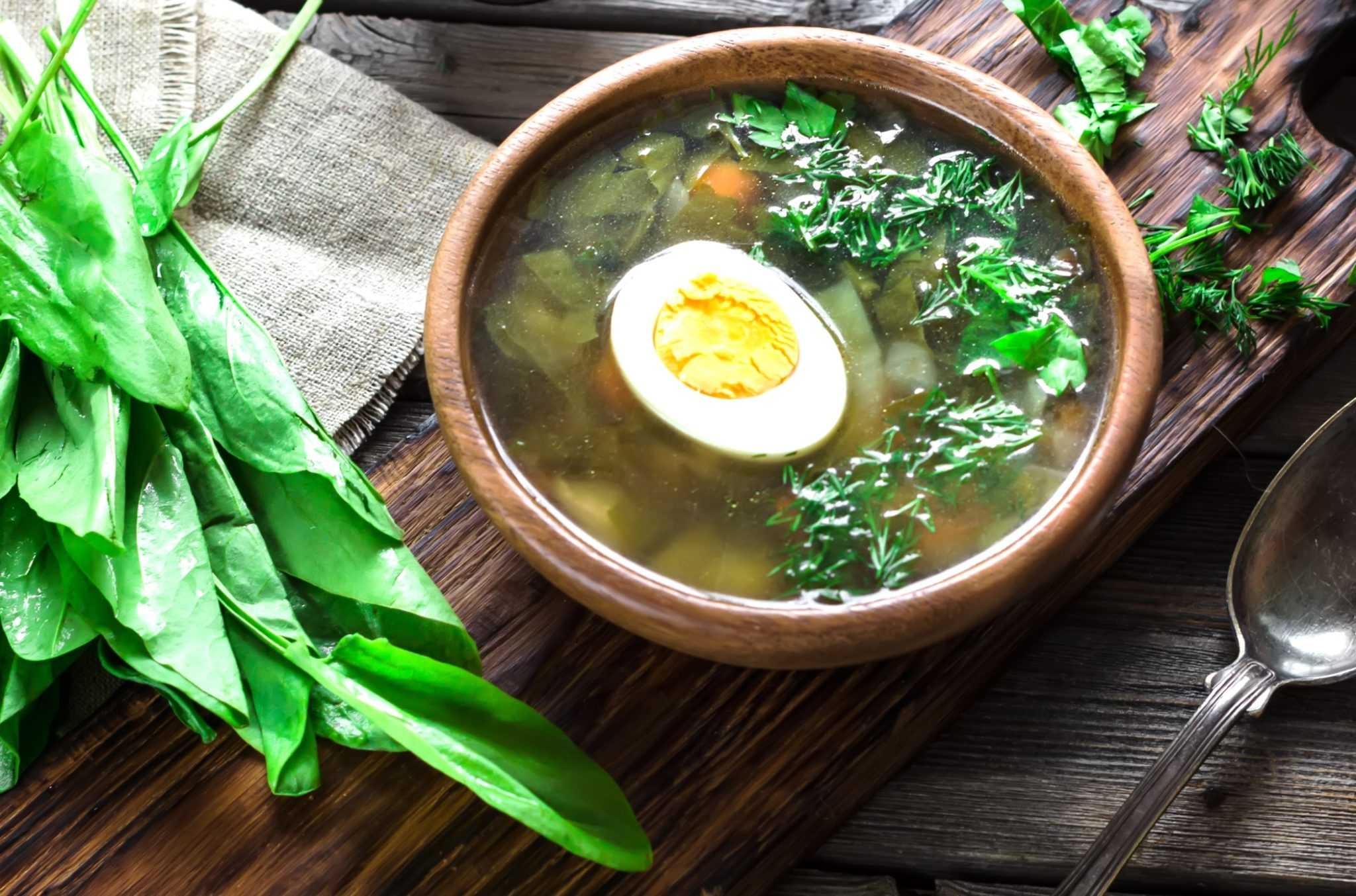 Суп из щавеля с яйцом — 7 классических рецептов щавелевого супа