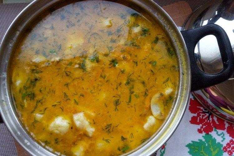 Куриный суп с клецками – необычные и иностранные варианты: рецепт с фото и видео