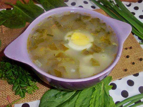 Щавелевый суп: 3 классических рецепта с яйцом, курицей, фрикадельками и тушенкой
