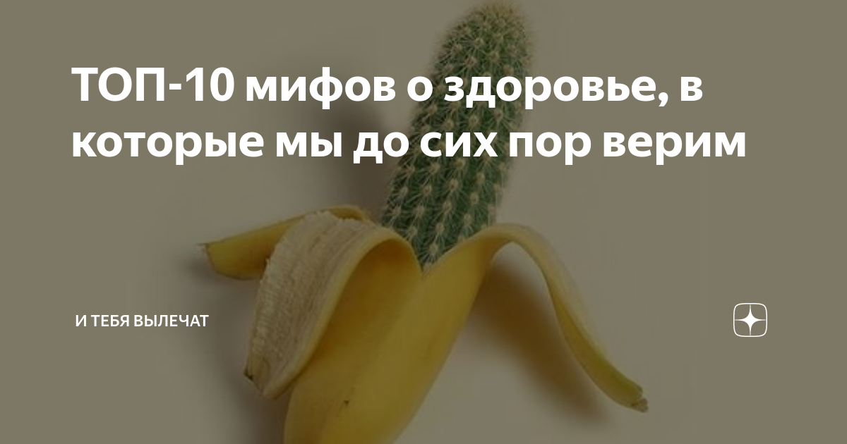 6 главных мифов о меде / что правда, а что нет – статья из рубрики "что съесть" на food.ru