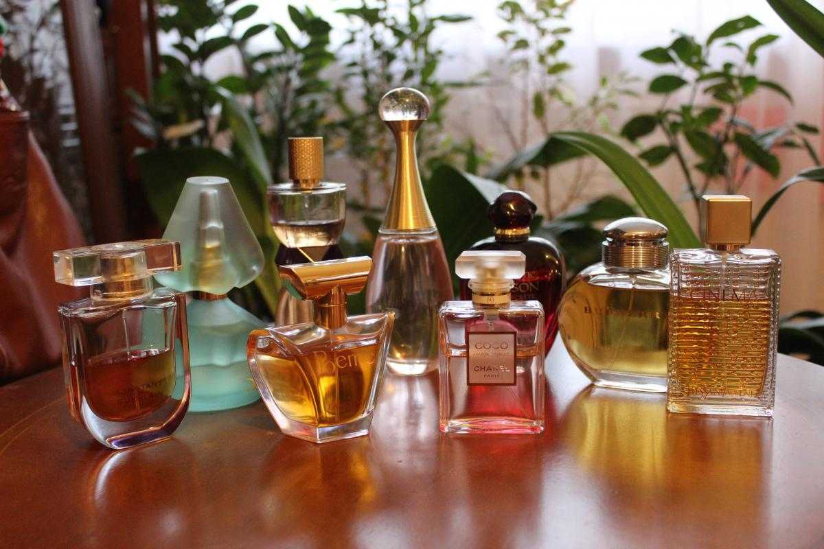 «пора приравнять духи к искусству». 9 трендов развития современной парфюмерии — нож