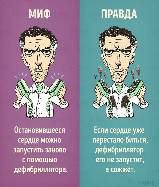 Мифы о меде: вся правда и популярные заблуждения на tea.ru
