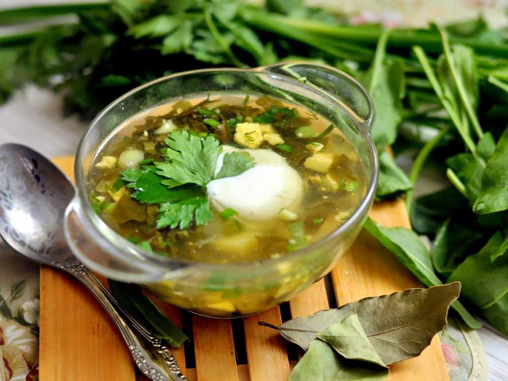 Щавелевый суп: 9 классических рецептов супа с яйцом