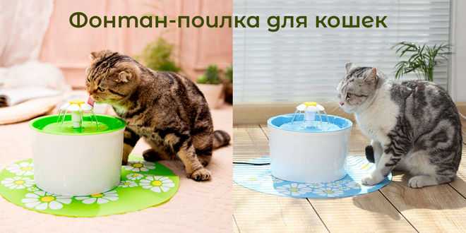 17 лучших гаджетов для домашних животных: ваши питомцы полюбят эти устройства | ichip.ru