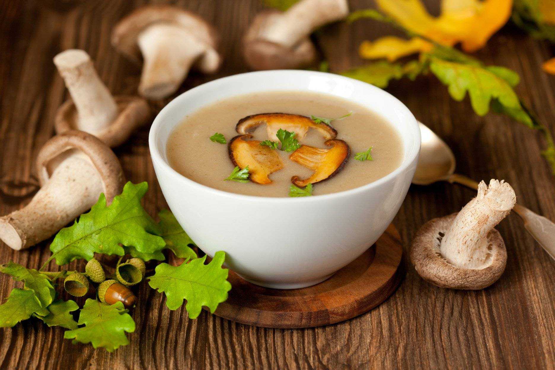 Суп из белых грибов — наваристые грибные супы из сухих (сушеных) или свежих грибов 2017