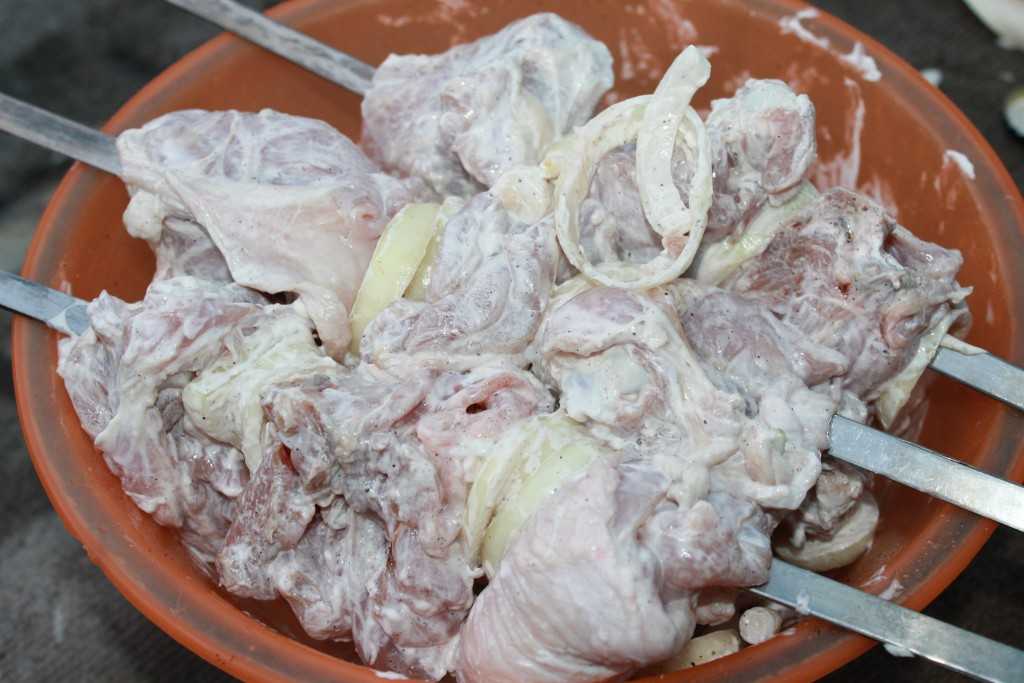 Мягкий и сочный шашлык из курицы - лучшие рецепты маринада