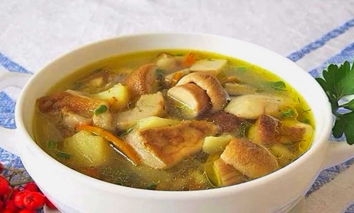 Грибной суп из сушеных грибов - самые вкусные рецепты