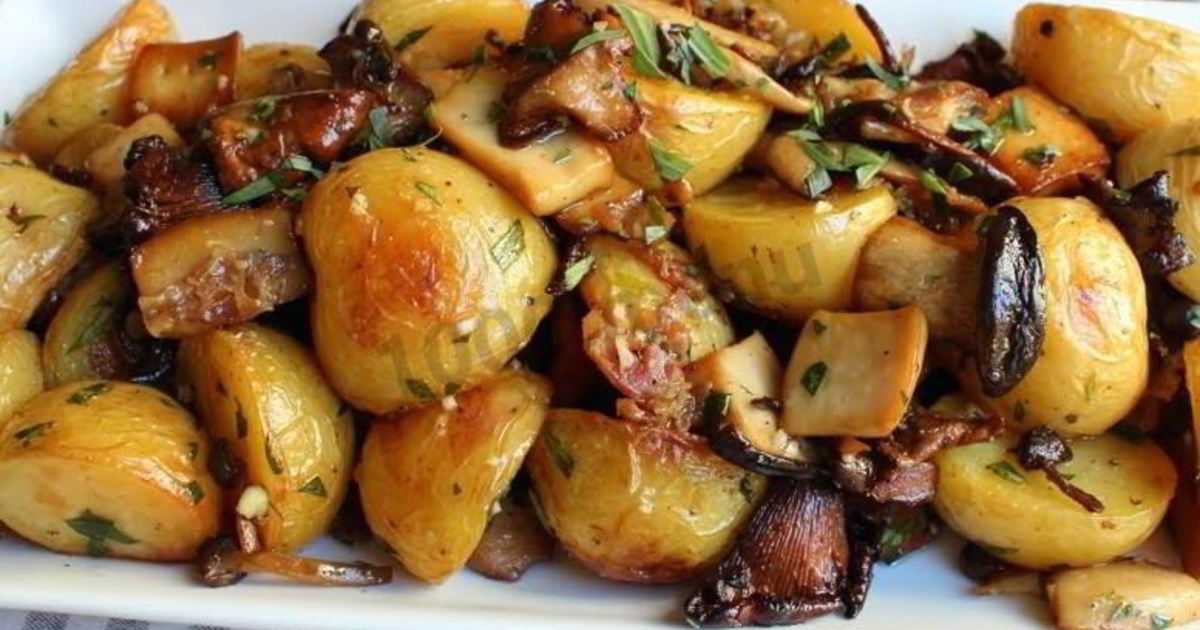 15 лучших рецептов картошки с грибами в духовке