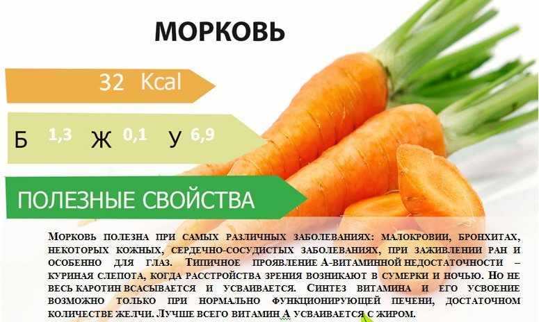Вред и польза тушеной, свежей, печеной, вареной моркови – хорошие привычки
