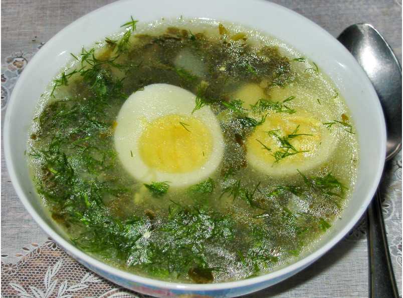 Как варить щавелевый суп с мясом и яйцом? 6 классических рецептов