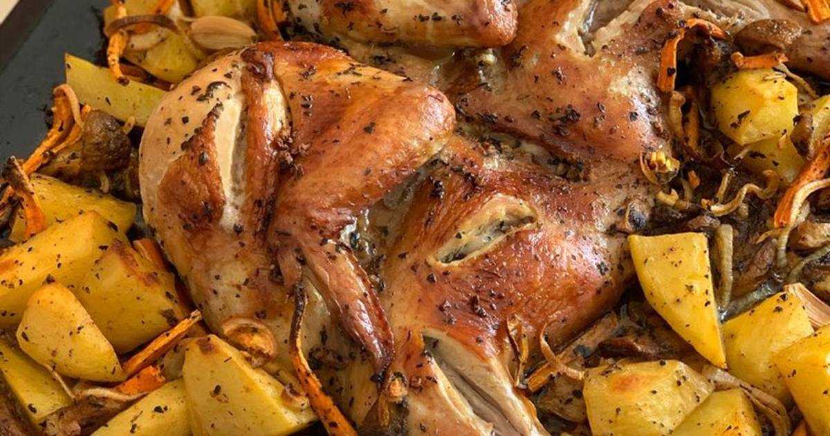 Тушеный картофель с курицей – 6 рецептов вкусного блюда