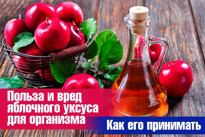 Как пить яблочный уксус для похудения без вреда для организма?