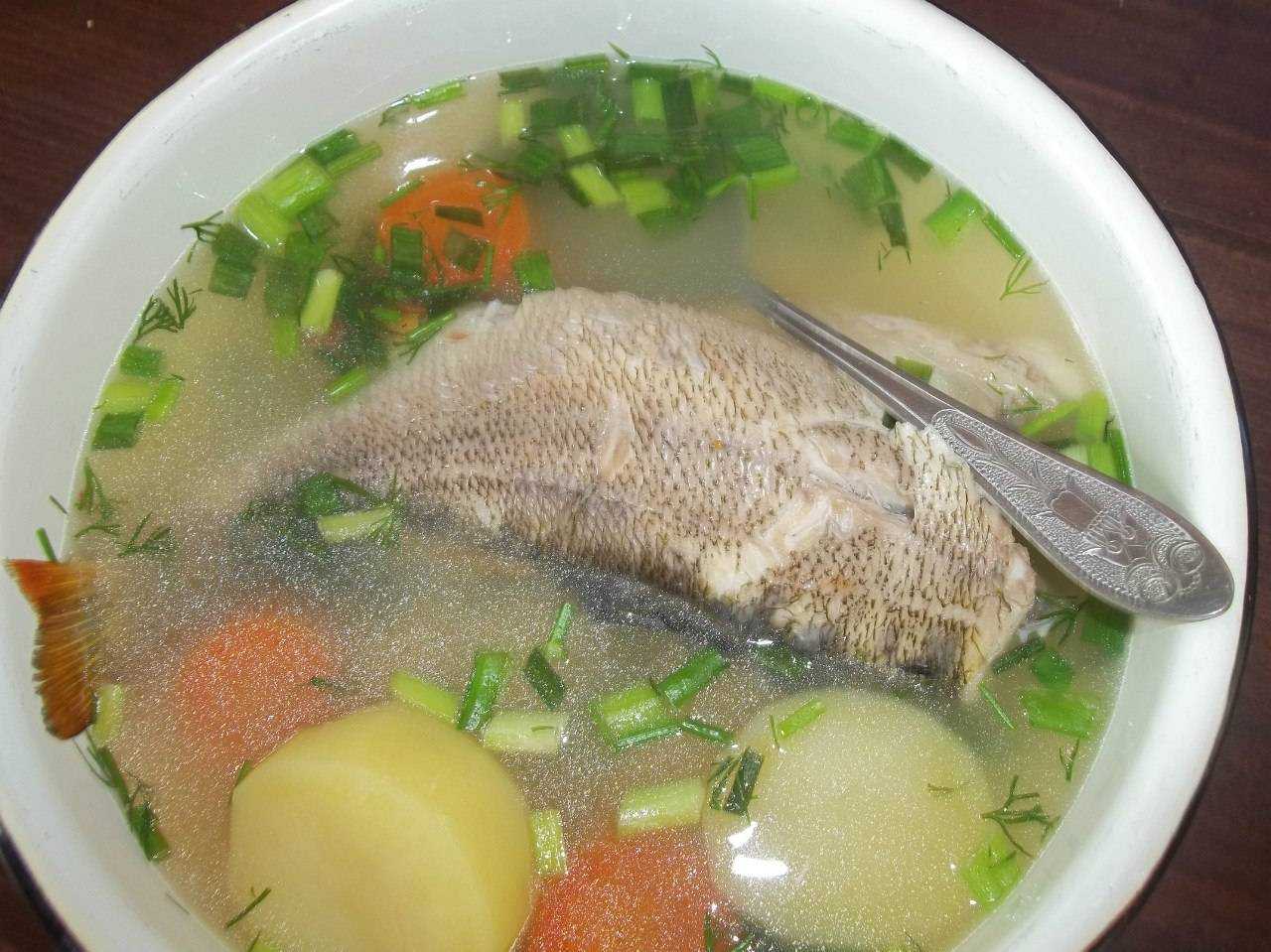 Какая рыба для супа. Уха из рыбы. Уха из Речной рыбы. Суп из Речной рыбы. Уха суп из рыбы.