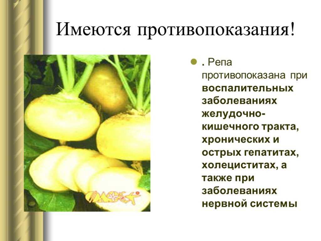 Польза и вред болгарского перца для здоровья организма